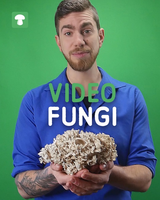 VideoFungi_ ken jouw paddenstoel