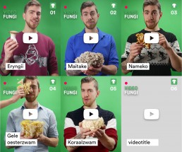 instructie video serie maken